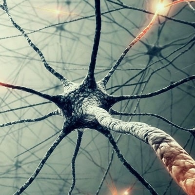Neuronale Netze